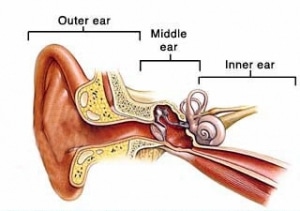 Ear and Hearing Disorders