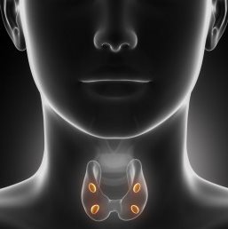 Thyroid Disorders